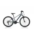 BIANCHI XR24.2 ERKEK DAĞ BİSİKLETİ 310H V 24 JANT 21 VİTES GRİ SİYAH