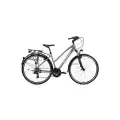 BİSAN TRX 8200 CITY KADIN ŞEHİR BİSİKLETİ 45CM V 28 JANT 21 VİTES AÇIK METALİK GRİ PEMBE BEYAZ