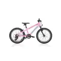 BIANCHI XR20 KIZ ÇOCUK BİSİKLETİ 280H V 20 JANT 7 VİTES SHIMANO 9W PEMBE YEŞİL