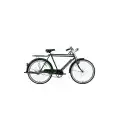BİSAN ROADSTAR CLASSIC ERKEK HİZMET BİSİKLETİ 58CM V 26 JANT 1 VİTES YEŞİL