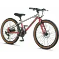 MOSSO DEMARCH M-24-MD ERKEK DAĞ BİSİKLETİ  280H 24 JANT 21 VİTES GREY RED