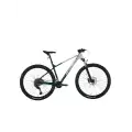 BİSAN BOLD 10.2 ERKEK DAĞ BİSİKLETİ 48CM HD 29 JANT 20 VİTES GRİ KOYU YEŞİL KROM