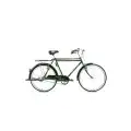 BİSAN ROADSTAR GL ERKEK HİZMET BİSİKLETİ 58CM V 26 JANT 1X1 VİTES YEŞİL SİYAH BEYAZ