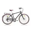 BIANCHI RUBINO ERKEK ŞEHİR BİSİKLETİ 470H V 28 JANT 21 VİTES BLACK GLOSSY
