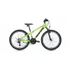 BIANCHI XR24.2 ERKEK DAĞ BİSİKLETİ 310H V 24 JANT 21 VİTES YEŞİL SİYAH