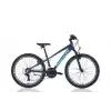 BIANCHI XR24.2 ERKEK DAĞ BİSİKLETİ 310H V 24 JANT 21 VİTES HF MAVİ AÇIK MAVİ