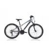 BIANCHI XR24.2 ERKEK DAĞ BİSİKLETİ 310H V 24 JANT 21 VİTES GRİ SİYAH