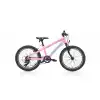 BIANCHI XR20 KIZ ÇOCUK BİSİKLETİ 280H V 20 JANT 7 VİTES SHIMANO 9W PEMBE YEŞİL