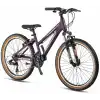 MOSSO WILDFIRE L-24-V KADIN DAĞ BİSİKLETİ 330H 24 JANT 21 VİTES MAT MOR