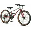 MOSSO DEMARCH M-24-MD ERKEK DAĞ BİSİKLETİ  280H 24 JANT 21 VİTES GREY RED