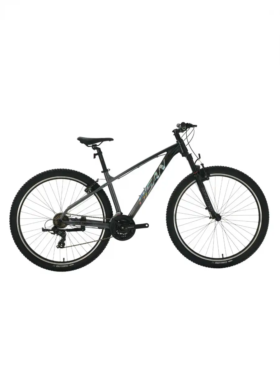 BİSAN BOLD 7.3 ERKEK DAĞ BİSİKLETİ 48CM V 29 JANT 21 VİTES SİYAH GRİ GRİ