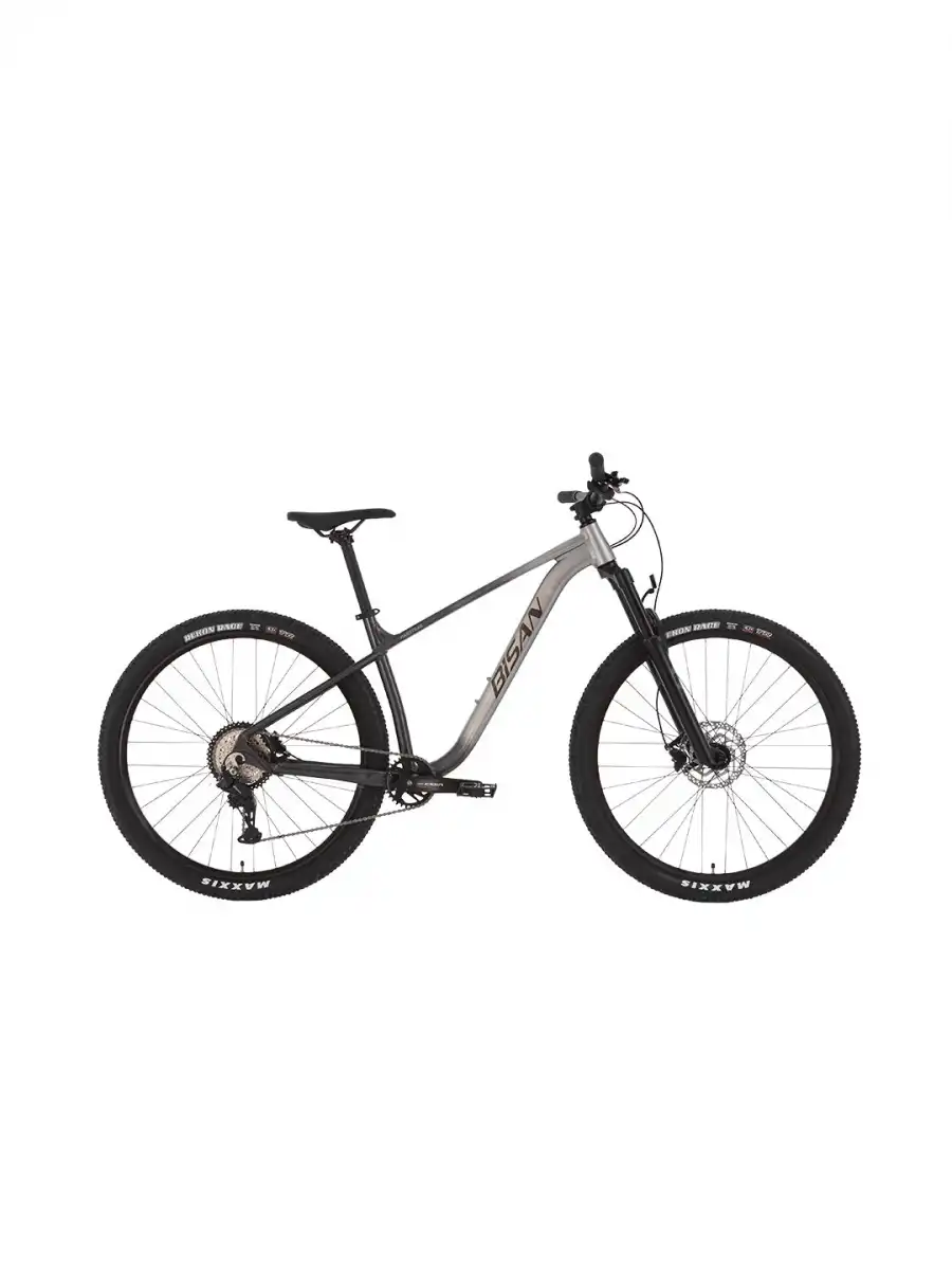 BİSAN HARDTRAIL ERKEK DAĞ BİSİKLETİ 43 CM HD 29 JANT 8 VİTES SİYAH GRİ SİYAH GRİ