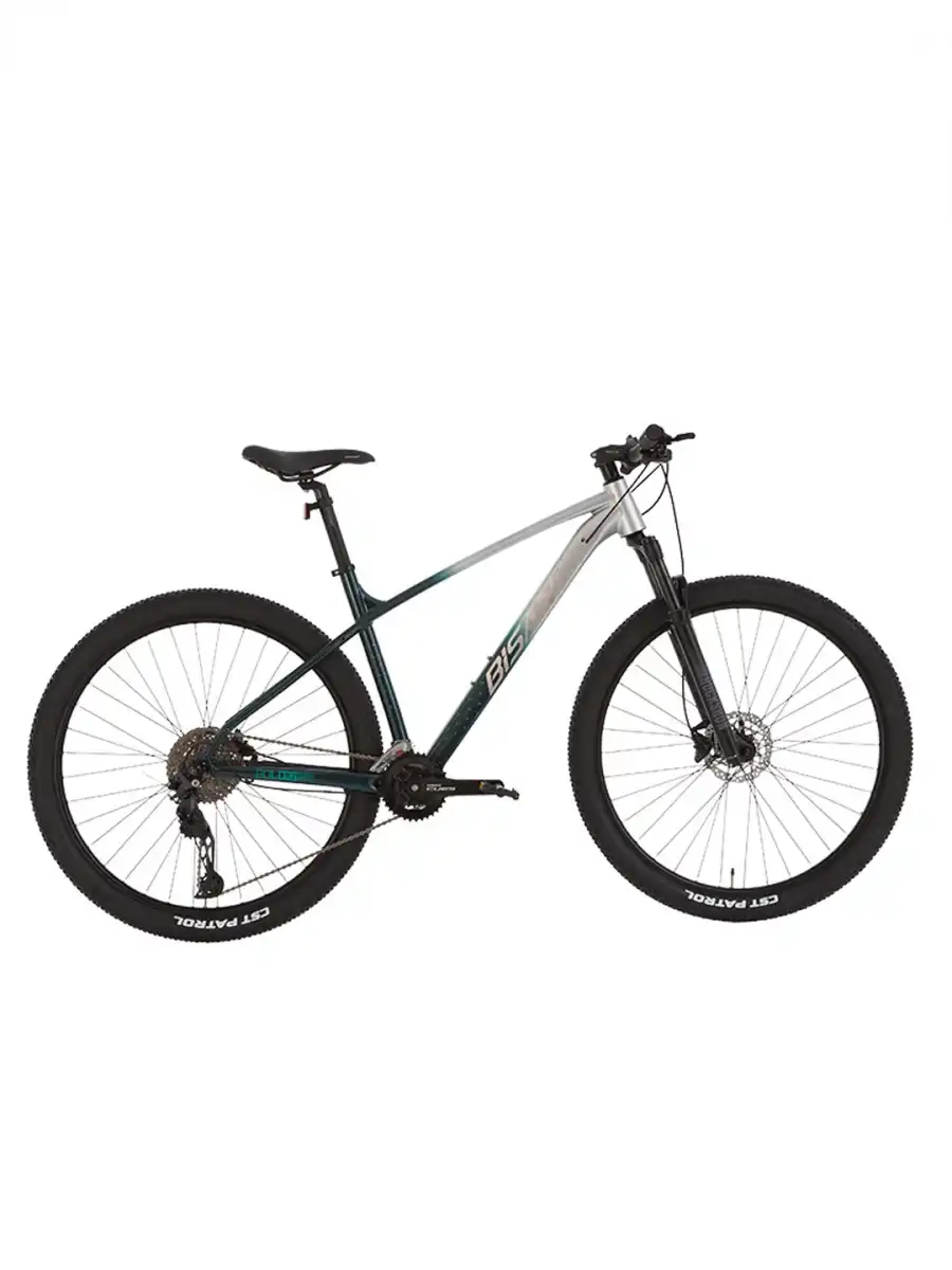BİSAN BOLD 11.2 ERKEK DAĞ BİSİKLETİ 43CM HD 29 JANT 22 VİTES GRİ KOYU YEŞİL KREM