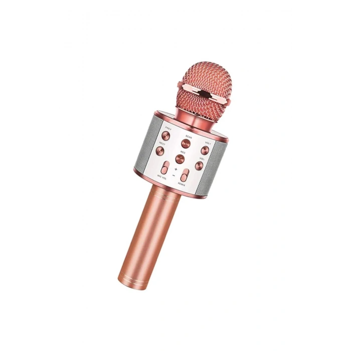 Lin Grup Karaoke Mikrofon Kablosuz Bluetooth