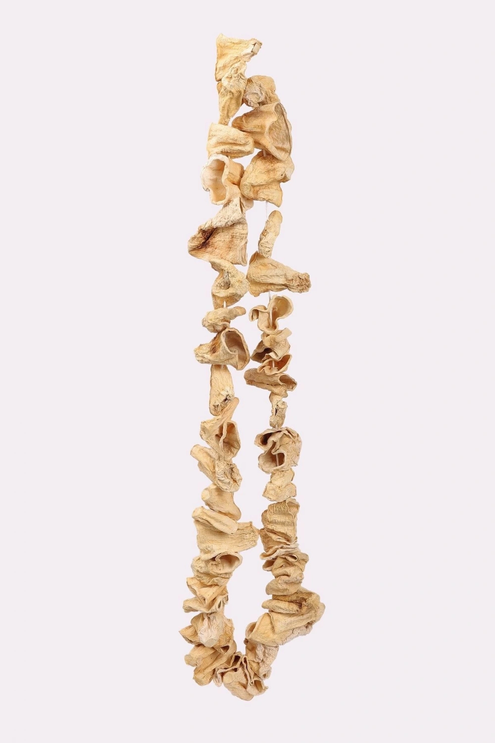 Antep Dolmalık Kabak Kurusu (45-50 ADET)