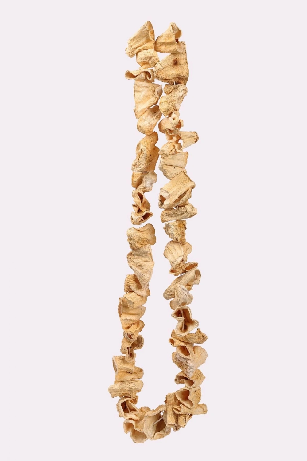 Antep Dolmalık Kabak Kurusu (45-50 ADET)