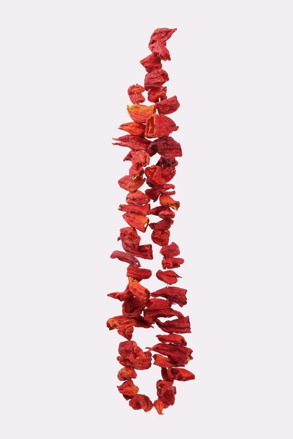 ANTEP DOLMALIK KAPYA BİBER KURUSU