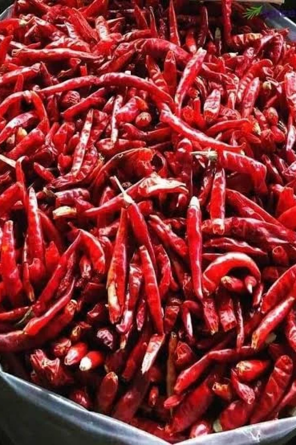 ATOM SÜS BİBER (1 BAĞ)