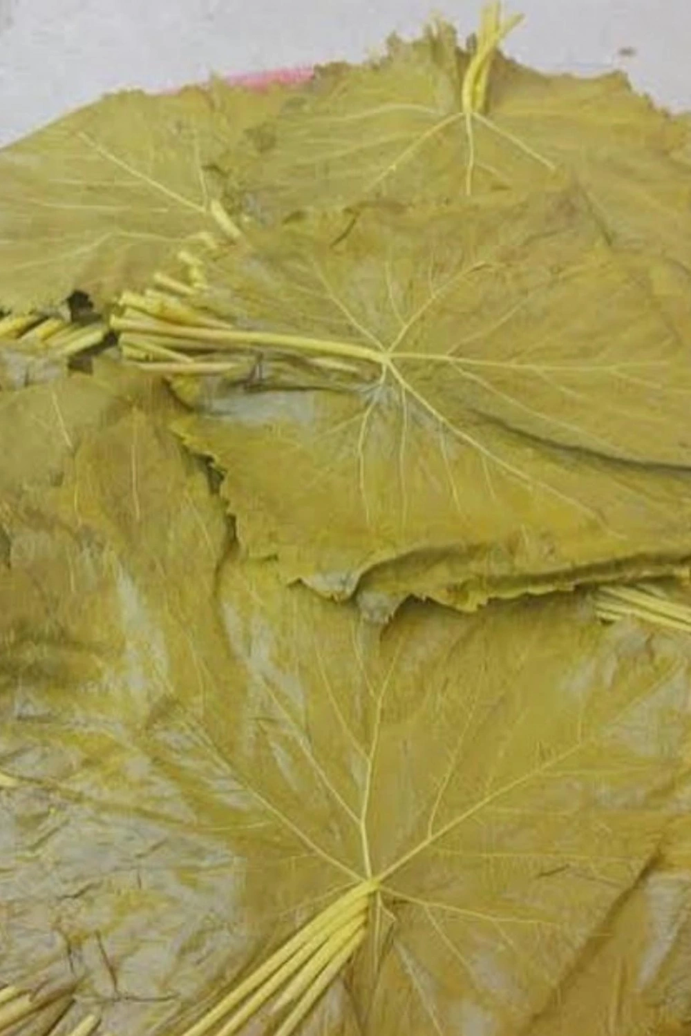 SALAMURA YAPRAK 5 KG