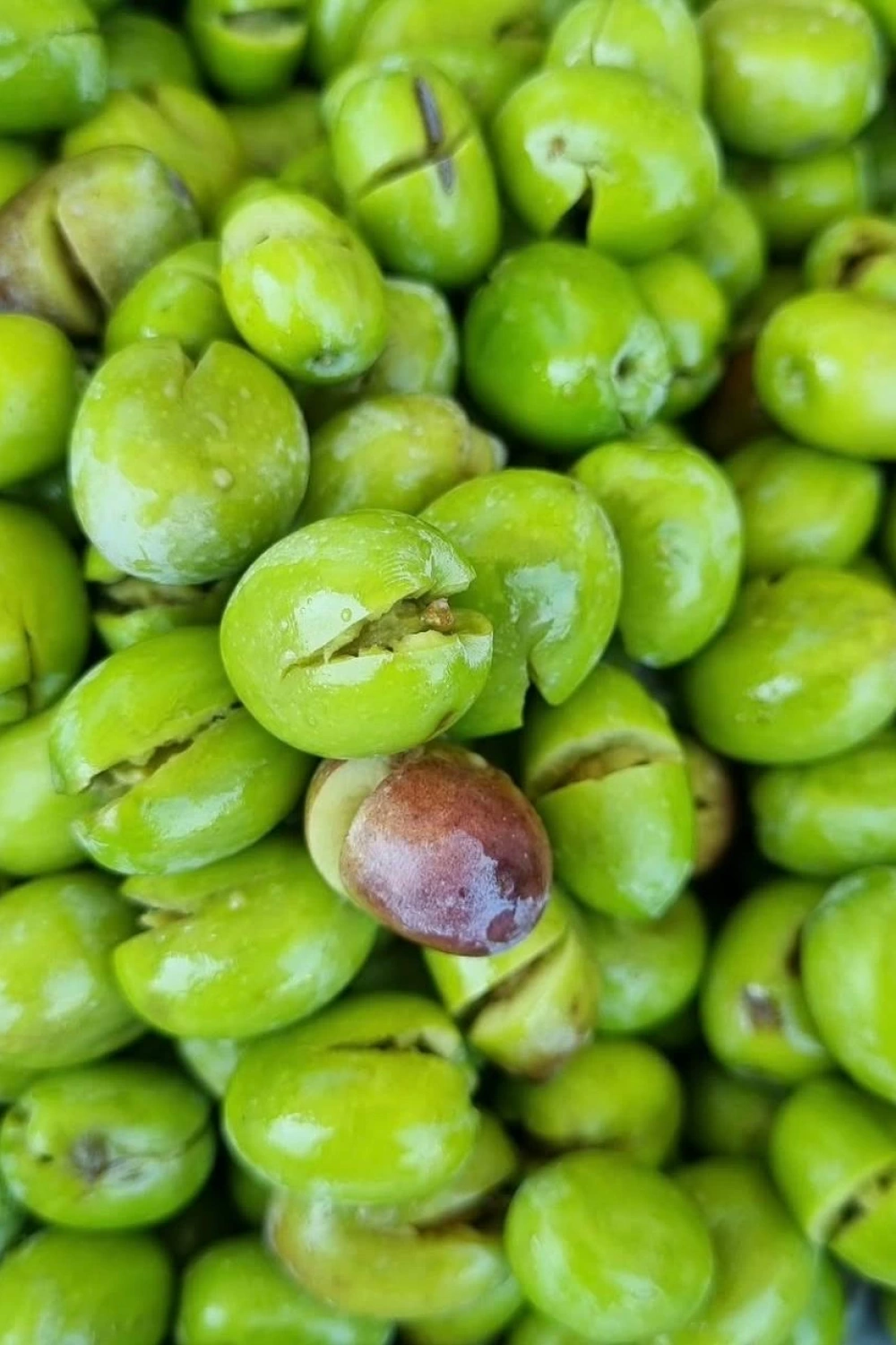 Yeşil Kırma Zeytin (ÇEKİRDEKSİZ NET 3 KG) 5 Kg