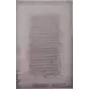 Esiliva 100X300