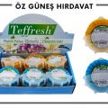 TEFFRESH ASKILI KOKU GİDERİCİ*24