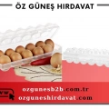 TİTİZ AP-9181 EGGO YUMURTA KABI*15