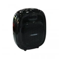 POWERDEX PD-92 MİKROFONLU HOPARLÖR