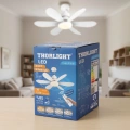 THORLIGHT PERVANE AMPUL KUMANDALI