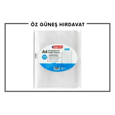 BİGPOİNT POŞET DOSYA 100LÜ BP291*35
