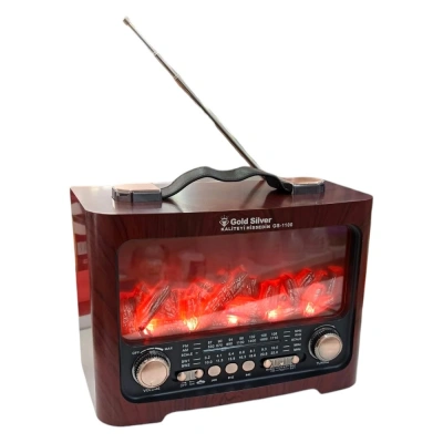 GOLD SİLVER GS 1100 RADYO