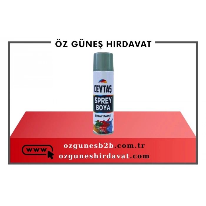 CEYTAŞ SPREY BOYA 200ML.GRİ*30