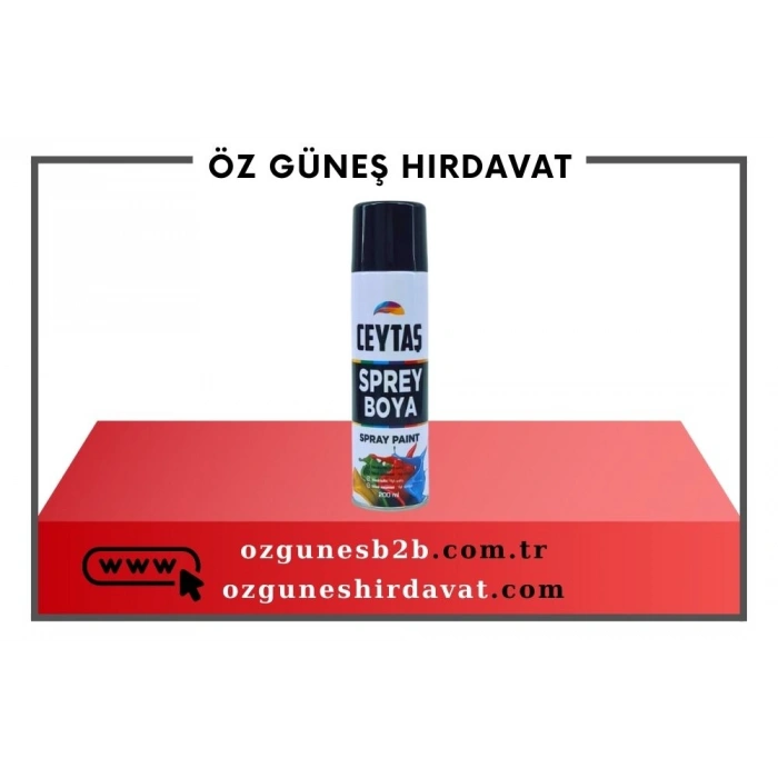 CEYTAŞ SPREY BOYA 200ML.SİYAH*30
