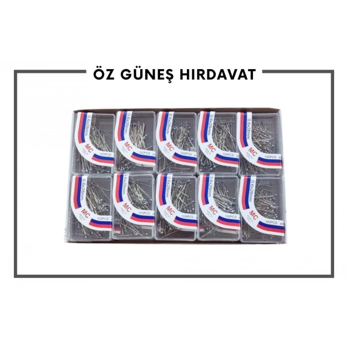 TOPLU İĞNE MİNELİ 100 LÜ (GÜMÜŞ)