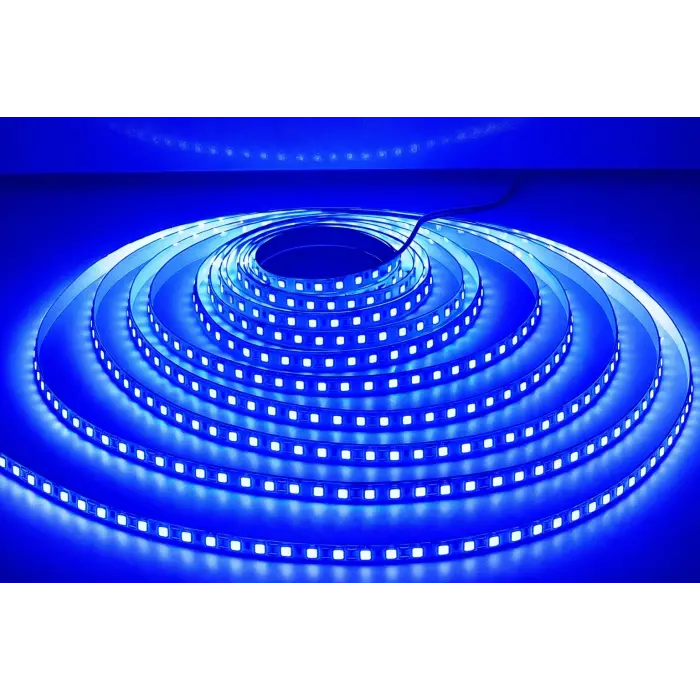 1 Adet 5 METRE CATA CT 4484 İç Mekan 12V 10 Çipli Şerit Led Mavi Işık
