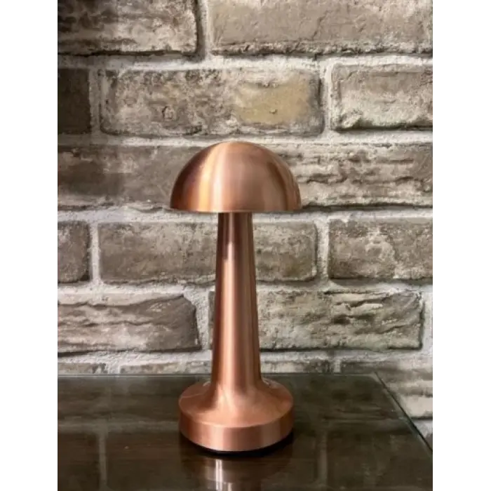 1 Adet CATA CT 8430 Lizbon Bakır Kasa Şarjlı Masa Lambası 3 Renk