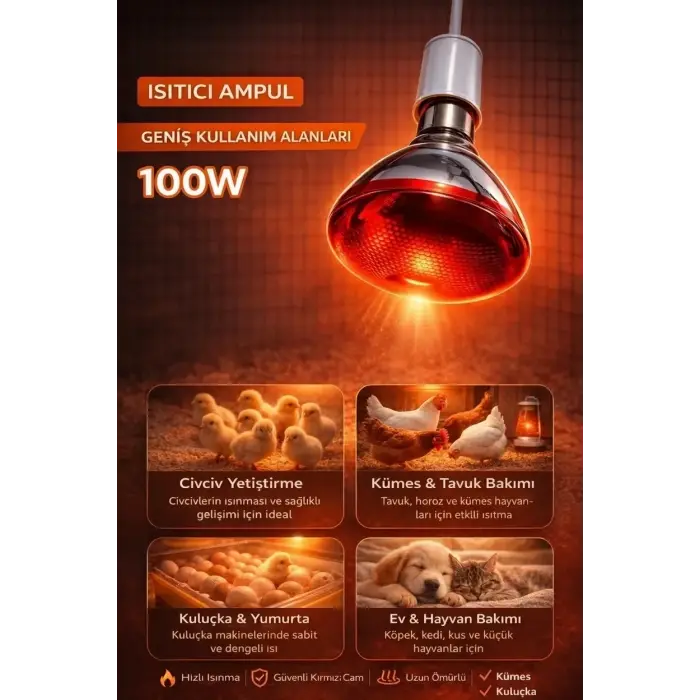 100W Isıtıcı Ampul Kırmızı Isı Lambası Civciv Kümes Kuluçka E27 Duy Isıtma Ampulü