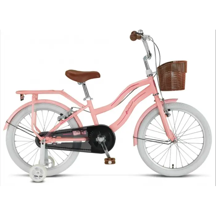 20 Jant Çocuk Bisikleti