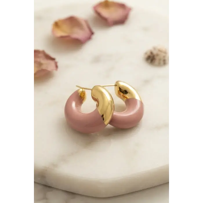 316L Çelik Gold Renk Pembe Halka Model Kadın Küpe