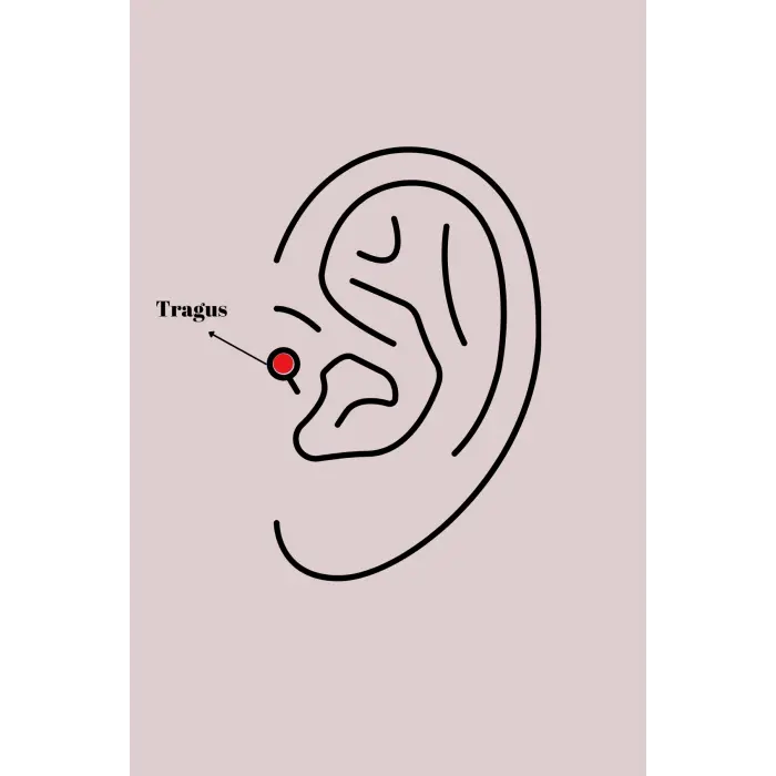 316L Çelik Gümüş Renk Zirkon Taşlı Tragus Piercing