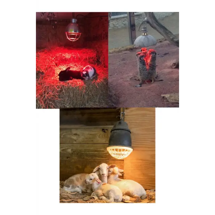 (6 Adet) 250W Kızılötesi Isıtıcılı Hayvan Isıtma ve Kuluçka Lambası (Kırmızı Işık) E27 (Kalın Duy)