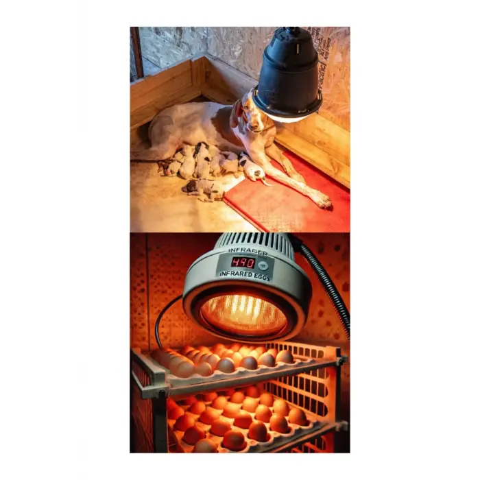 (6 Adet) 250W Kızılötesi Isıtıcılı Hayvan Isıtma ve Kuluçka Lambası (Kırmızı Işık) E27 (Kalın Duy)