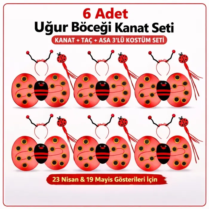 6'lı Uğur Böceği Ateş Böceği Kostüm Seti – Kanat Taç Asa Bx40