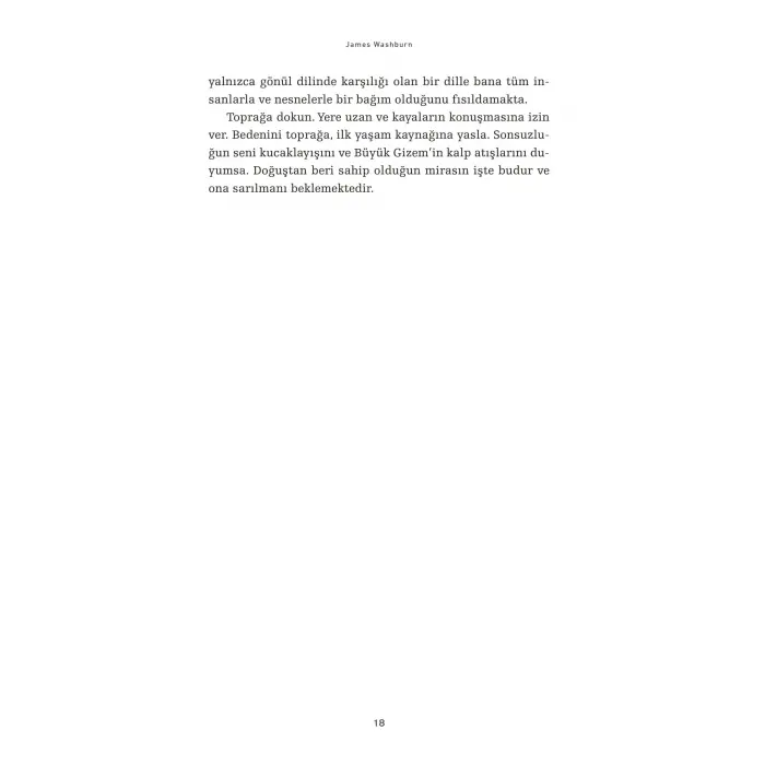Son Me?enin ?tesi: Fark?ndal?k ve Meditasyon ?zerine K?sac?k 77 ?yk? [Paperback] [Aug 22, 2025] James  Washburn and Elif Arslan