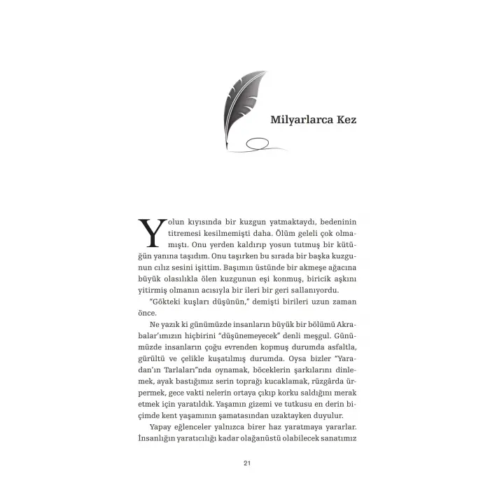 Son Me?enin ?tesi: Fark?ndal?k ve Meditasyon ?zerine K?sac?k 77 ?yk? [Paperback] [Aug 22, 2025] James  Washburn and Elif Arslan