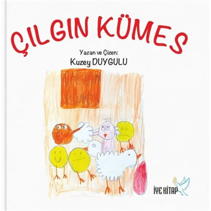 ??lg?n K?mes [Paperback] [Dec 31, 2025] Kuzey Duygulu