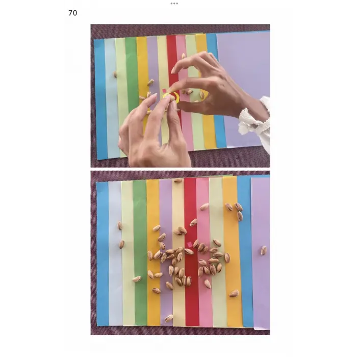 #1 Math Photo Album Hands-on Math Experiments with Posters Included [Paperback] [Jan 06, 2025] Kolektif