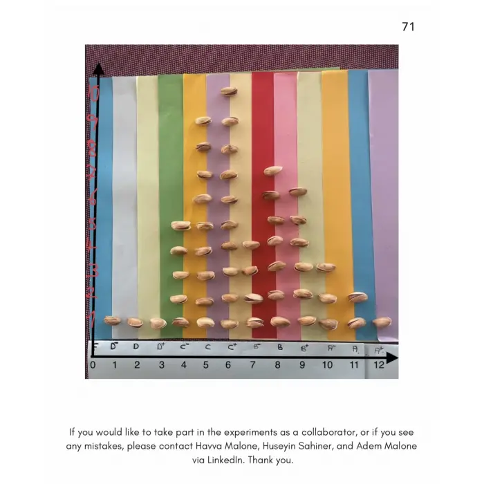 #1 Math Photo Album Hands-on Math Experiments with Posters Included [Paperback] [Jan 06, 2025] Kolektif