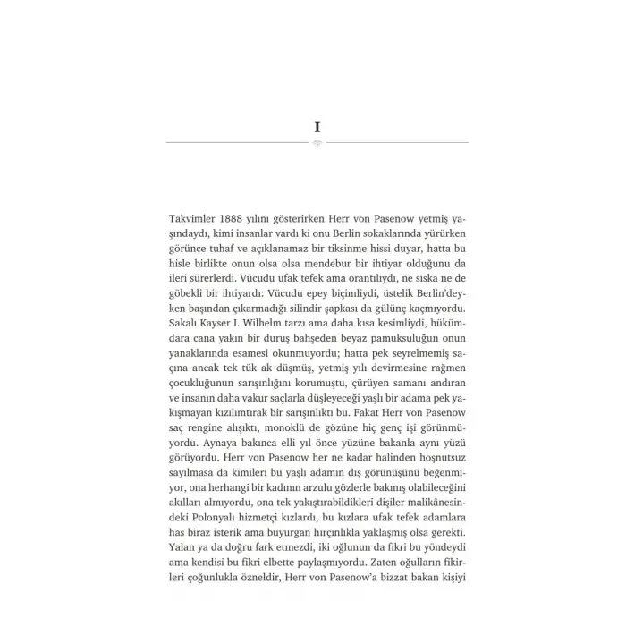 Uyurgezerler [Paperback] [Jan 08, 2026] Hermann Broch and M. Sami T?rk