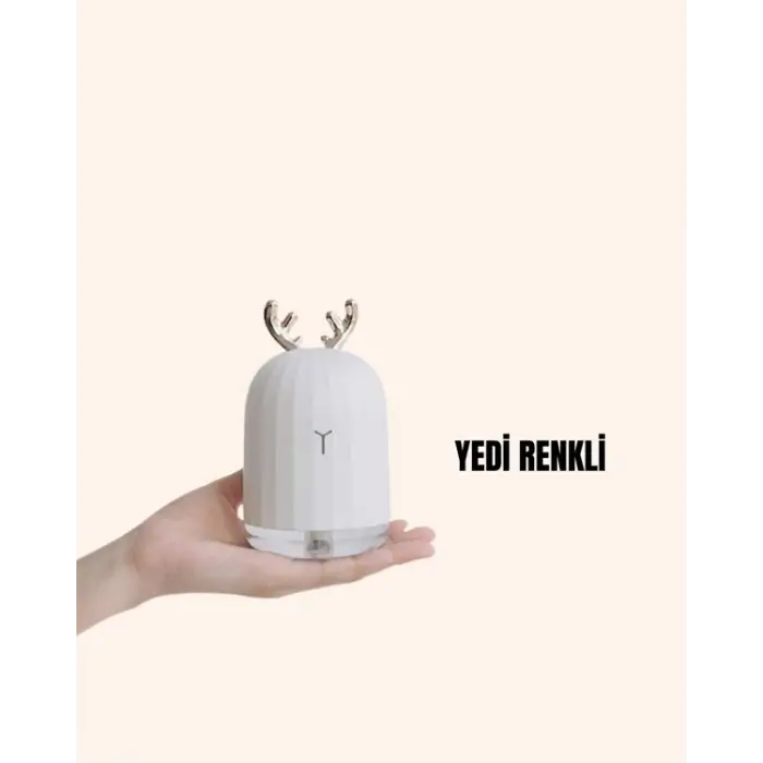 ABS+PP Malzemeli Taşınabilir 220 ml USB Mist Nemlendirici